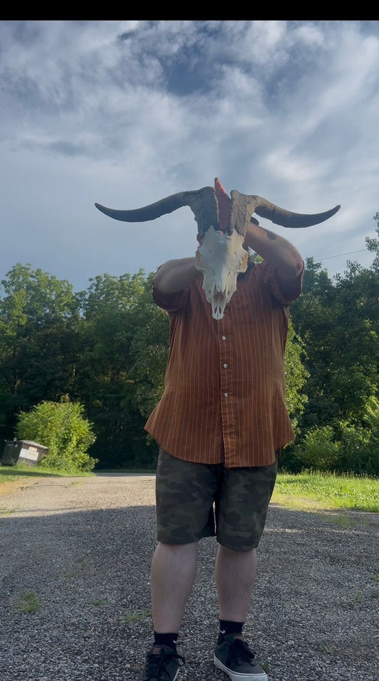 Huge thick horned goat skull/wall art/decor