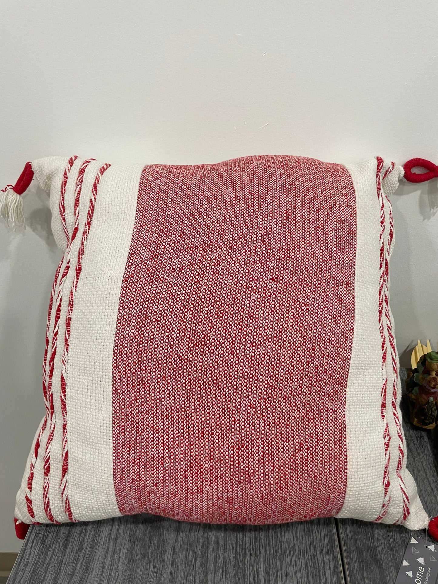 Rizzy Home Boone Down 20”x20” throw pillow (109)