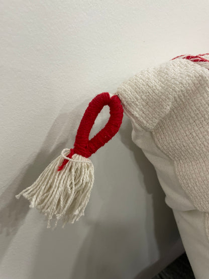 Rizzy Home Boone Down 20”x20” throw pillow (109)