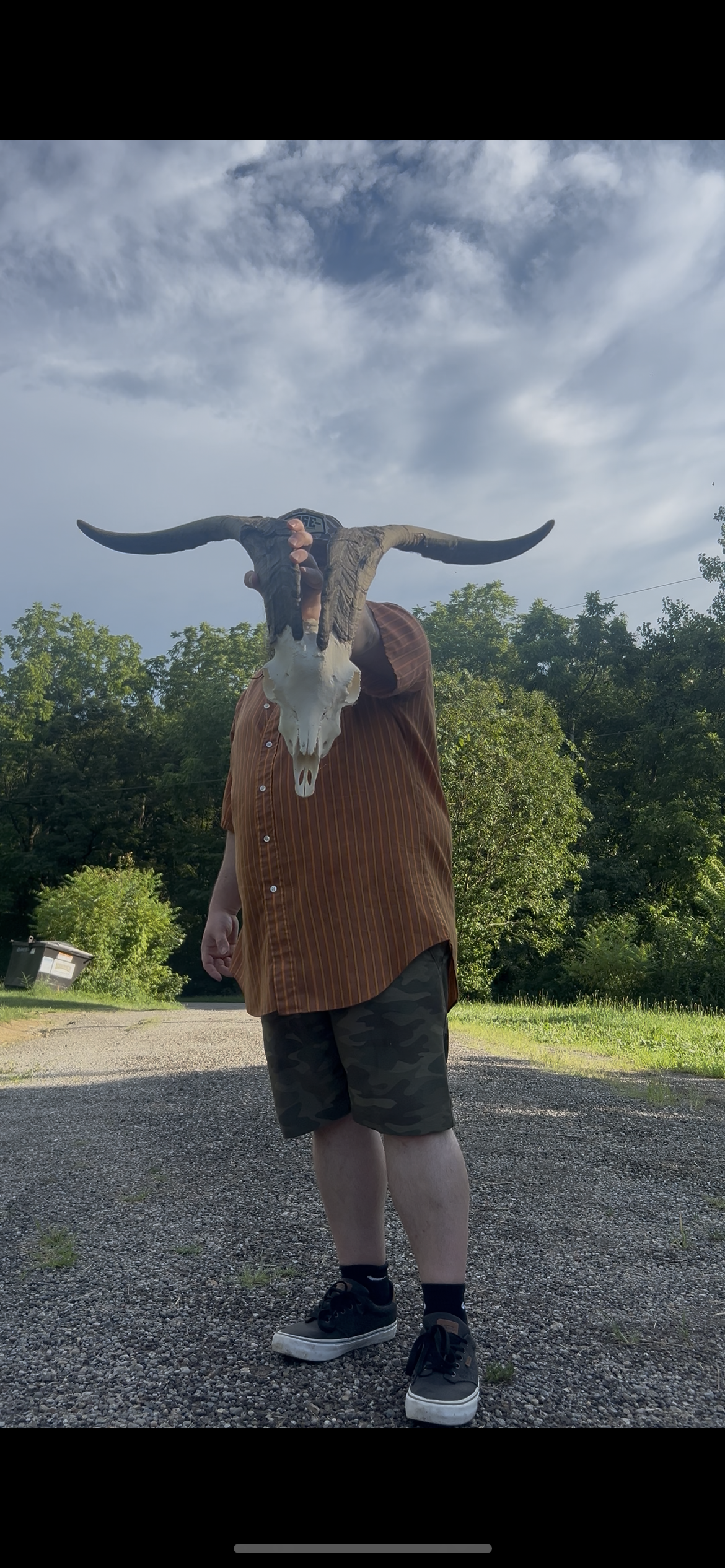 Huge thick horned goat skull/wall art/decor